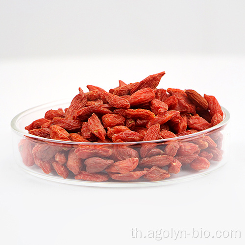 ขาย Wolfberry Lycium Barbarum Goji Berry เพื่อขาย